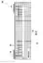 Fig. 04 - Sensor with an embedded thermistor for precise local temperature measurement