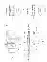 Fig. 05 - REFERENCE PICTURE MANAGEMENT FOR LAYERED VIDEO