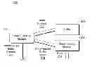 Fig. 01 - Watermarking screen capture content