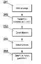 Fig. 01 - METHOD AND A SYSTEM FOR PROCESSING AN IMAGE COMPRISING DENDRITIC SPINES