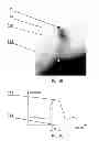 Fig. 04 - METHOD AND A SYSTEM FOR PROCESSING AN IMAGE COMPRISING DENDRITIC SPINES