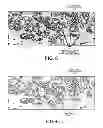 Fig. 06 - Gleason grading by segmenting and combining co-registered images of differently stained tissue slices