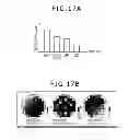 Fig. 14 - Defect inspection method and defect inspection device
