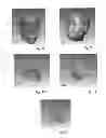 Fig. 07 - System and method for customizing figurines with a subject's face