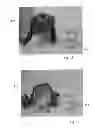 Fig. 09 - System and method for customizing figurines with a subject's face