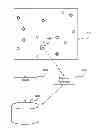 Fig. 01 - Method, apparatus and system for generating a feature vector