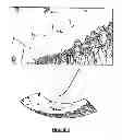 Fig. 09 - PANORAMIC IMAGE VIEWER
