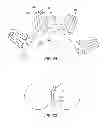 Fig. 12 - Bearing retainer