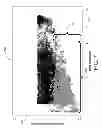 Fig. 08 - Optimized ultra large area optical fibers