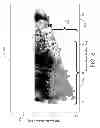 Fig. 09 - Optimized ultra large area optical fibers