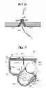 Fig. 16 - Developing device and image forming apparatus