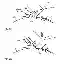 Fig. 07 - LUBRICANT COATING DEVICE AND IMAGE FORMING APPARATUS