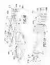 Fig. 17 - Safety surface