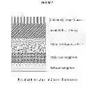Fig. 08 - Co-polymer soil subgrade binders