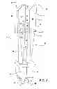 Fig. 04 - Tapered part-span shroud