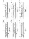 Fig. 05 - Bearing/gearing section for a PDM rotor/stator