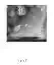 Fig. 27 - Methods for Removing Potassium, Rubidium, and Cesium, Selectively or in Combination, From Brines and Resulting Compositions Thereof