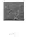 Fig. 29 - Methods for Removing Potassium, Rubidium, and Cesium, Selectively or in Combination, From Brines and Resulting Compositions Thereof