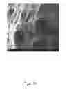 Fig. 30 - Methods for Removing Potassium, Rubidium, and Cesium, Selectively or in Combination, From Brines and Resulting Compositions Thereof