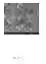 Fig. 31 - Methods for Removing Potassium, Rubidium, and Cesium, Selectively or in Combination, From Brines and Resulting Compositions Thereof