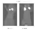 Fig. 02 - Integrin targeting agents and in-vivo and in-vitro imaging methods using the same