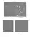 Fig. 04 - Integrin targeting agents and in-vivo and in-vitro imaging methods using the same