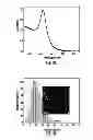 Fig. 04 - Stable colloidal gold nanoparticles with controllable surface modification and functionalization