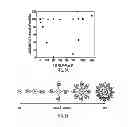 Fig. 06 - Stable colloidal gold nanoparticles with controllable surface modification and functionalization