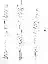 Fig. 03 - Modified Pyrazine Derivatives and Uses Thereof
