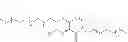 Fig. 20 - Modified Pyrazine Derivatives and Uses Thereof