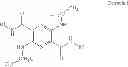Fig. 21 - Modified Pyrazine Derivatives and Uses Thereof