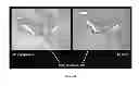 Fig. 13 - THERAPEUTIC METHODS AND COMPOSITIONS FOR SOLID DELIVERY