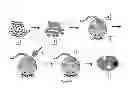 Fig. 19 - THERAPEUTIC METHODS AND COMPOSITIONS FOR SOLID DELIVERY