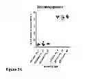 Fig. 06 - NON-INVASIVE IMAGING METHODS FOR PATIENT SELECTION FOR TREATMENT WITH NANOPARTICULATE THERAPEUTIC AGENTS
