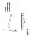 Fig. 08 - NON-INVASIVE IMAGING METHODS FOR PATIENT SELECTION FOR TREATMENT WITH NANOPARTICULATE THERAPEUTIC AGENTS