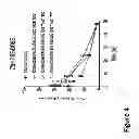 Fig. 09 - NON-INVASIVE IMAGING METHODS FOR PATIENT SELECTION FOR TREATMENT WITH NANOPARTICULATE THERAPEUTIC AGENTS