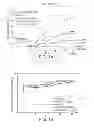 Fig. 02 - Anti-nucleolin agent-conjugated nanoparticles