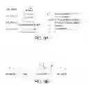Fig. 10 - Anti-nucleolin agent-conjugated nanoparticles