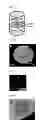 Fig. 06 - MAGNETIC RESONANCE IMAGING T2 CONTRAST MEDIUM FOR CELL CONTRASTING, AND METHOD FOR MANUFACTURING SAME
