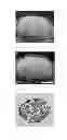 Fig. 07 - MAGNETIC RESONANCE IMAGING T2 CONTRAST MEDIUM FOR CELL CONTRASTING, AND METHOD FOR MANUFACTURING SAME