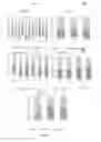 Fig. 05 - SUNSCREEN COMPOSITIONS