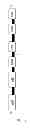 Fig. 02 - IL-12 immunoconjugate