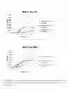 Fig. 07 - Enzyme and prebiotic combinations for enhancing probiotic growth and efficacy