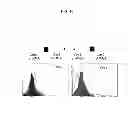 Fig. 32 - Methods of differentiating stem cells by modulating MIR-124
