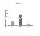 Fig. 41 - Methods of differentiating stem cells by modulating MIR-124