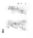 Fig. 07 - Multi-chamber applicator for gelatin solution