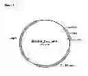 Fig. 02 - Methods and uses of a modified cecropin for treating endoparasitic and bacterial infections