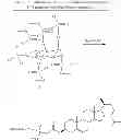 Fig. 23 - Inositol pyrophosphates, and methods of use thereof