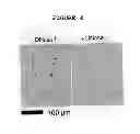 Fig. 05 - Compositions and methods for the treatment and prevention of infections caused by bacteria