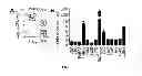Fig. 02 - Compositions and methods related to antibodies to staphylococcal protein A